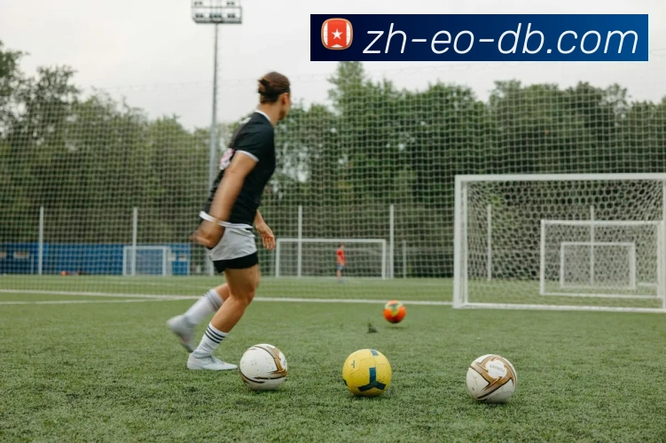 DB多寶官网全站App