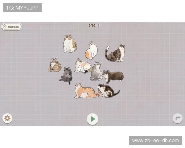 《一起找猫游戏为何每天需要重新开始探究其背后的设计逻辑与机制》